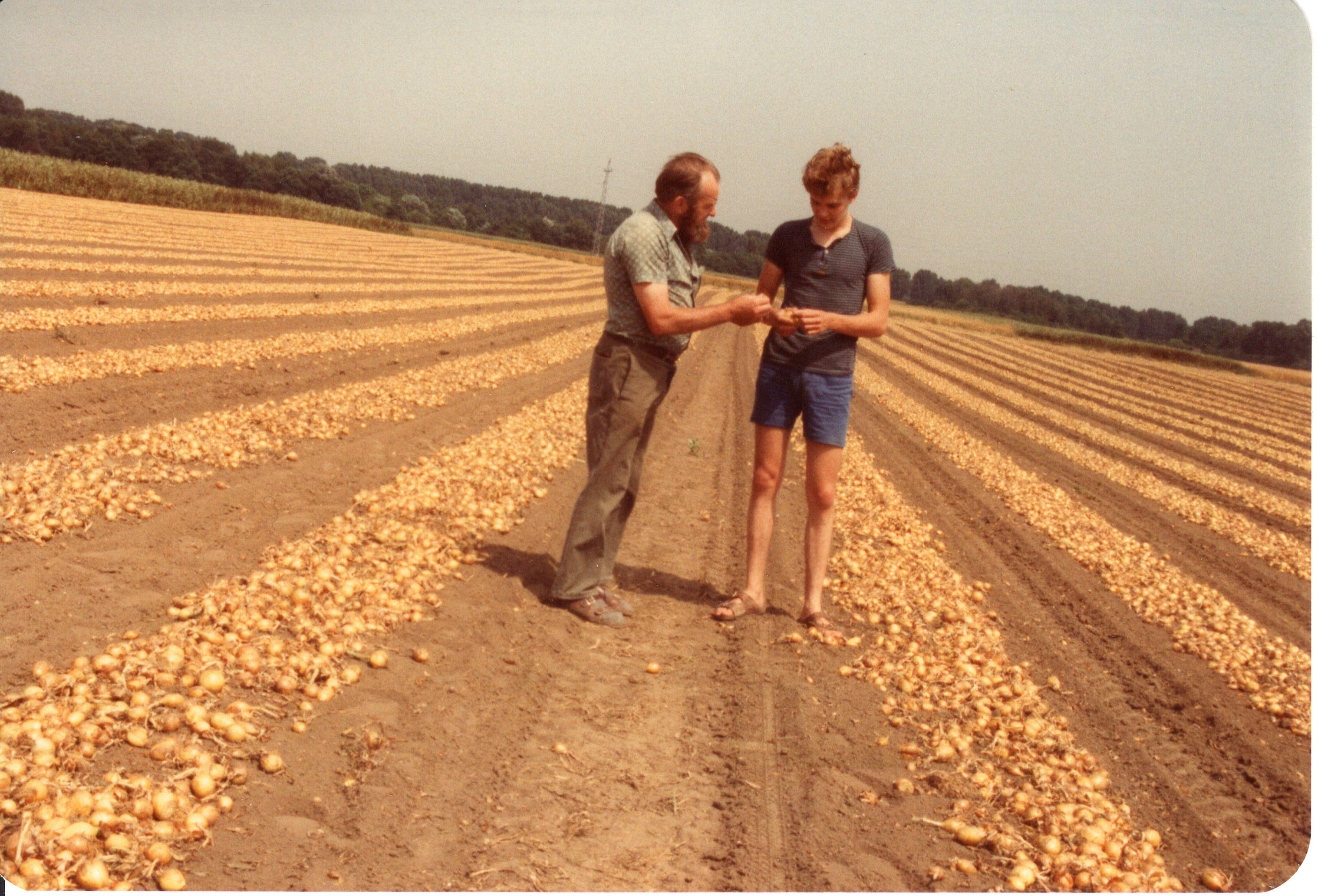 Felix und Daniel Voll